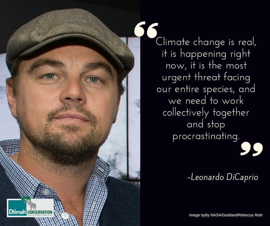 Leonardo DiCaprio: A Modern Day Blacksmith for the Environment