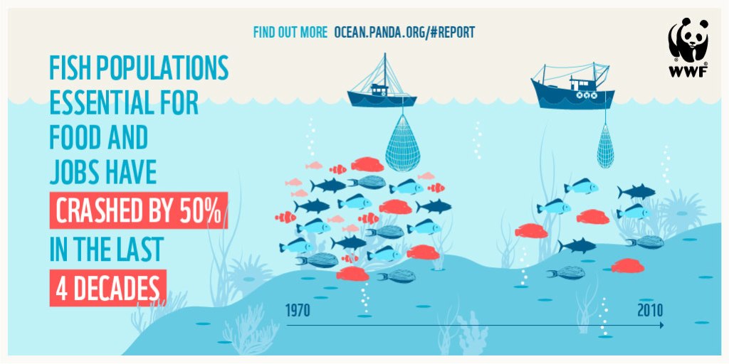 “Preserving Our Precious Oceans: A Call to Action for a Sustainable Future”